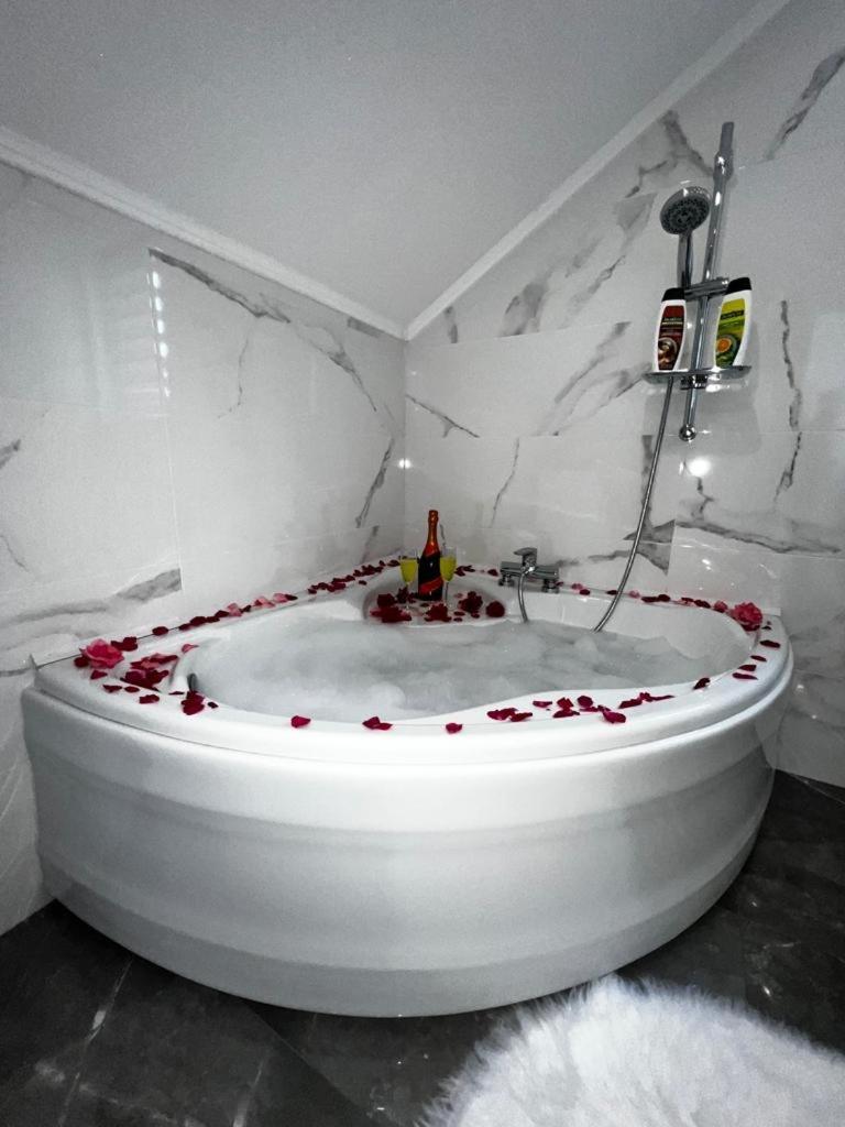Luxury Apartment Megy Otočac Dış mekan fotoğraf