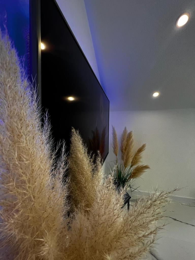Luxury Apartment Megy Otočac Dış mekan fotoğraf